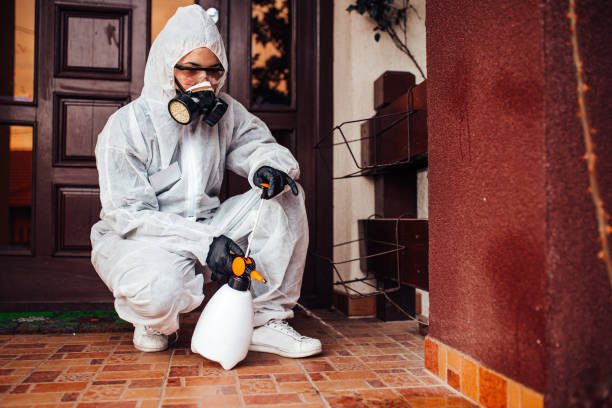 Attic and Crawl Space Rodent Treatment in Beach Haven